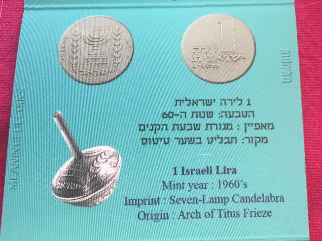 מרין שביט — 8