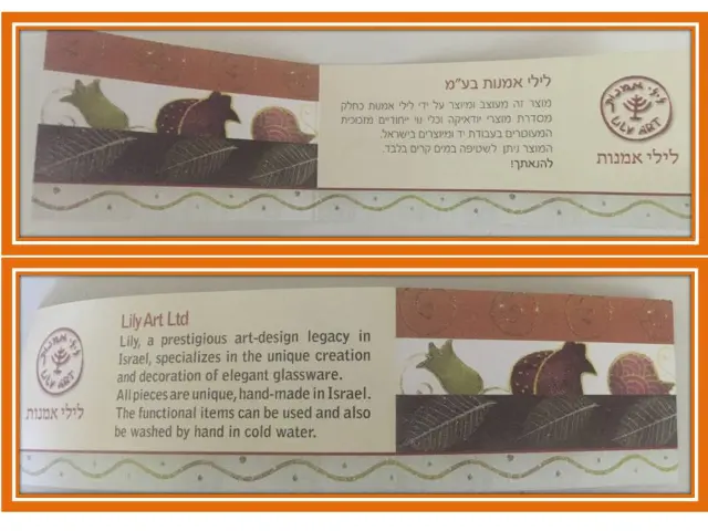 לילי שוחט — 2