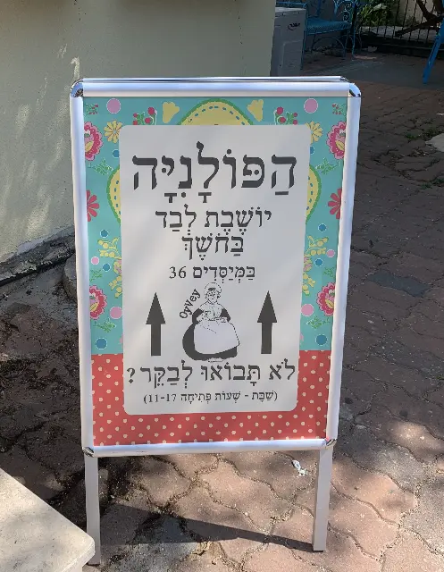 מיכל פישביין — 2