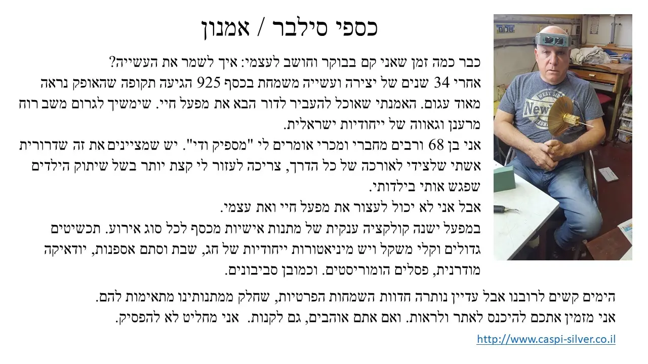 כספי אמנון חברת סילבר סביבון כוכב