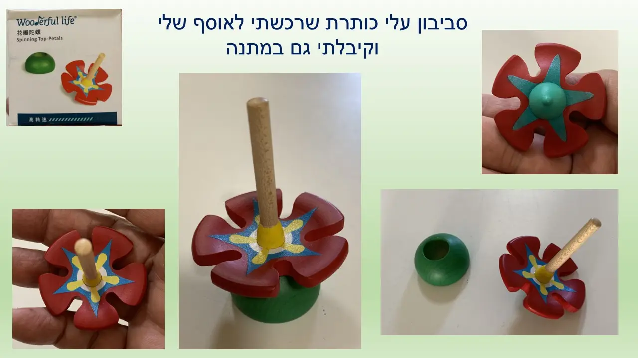סביבון הפרח של Wooderful Life טייוואן