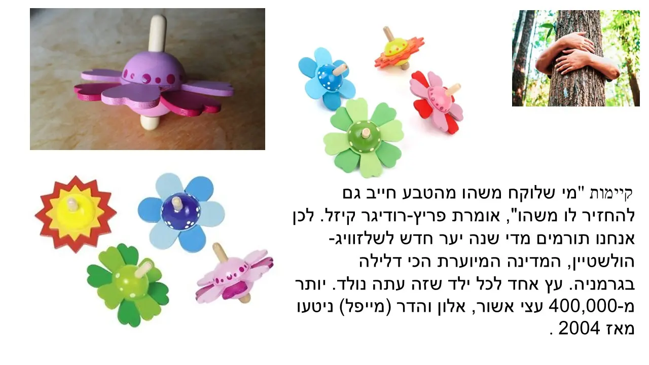 סביבון דסקים של GOKI