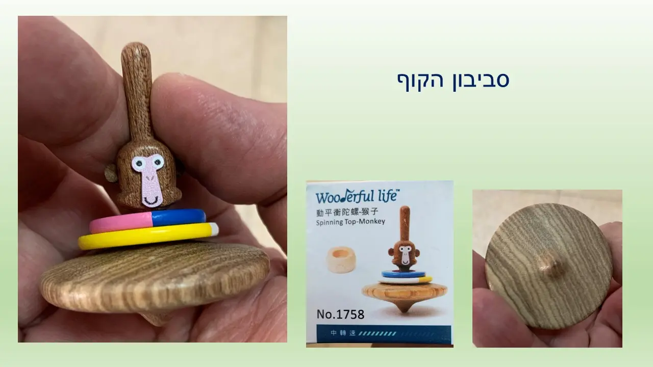 סביבון הפרח של Wooderful Life טייוואן