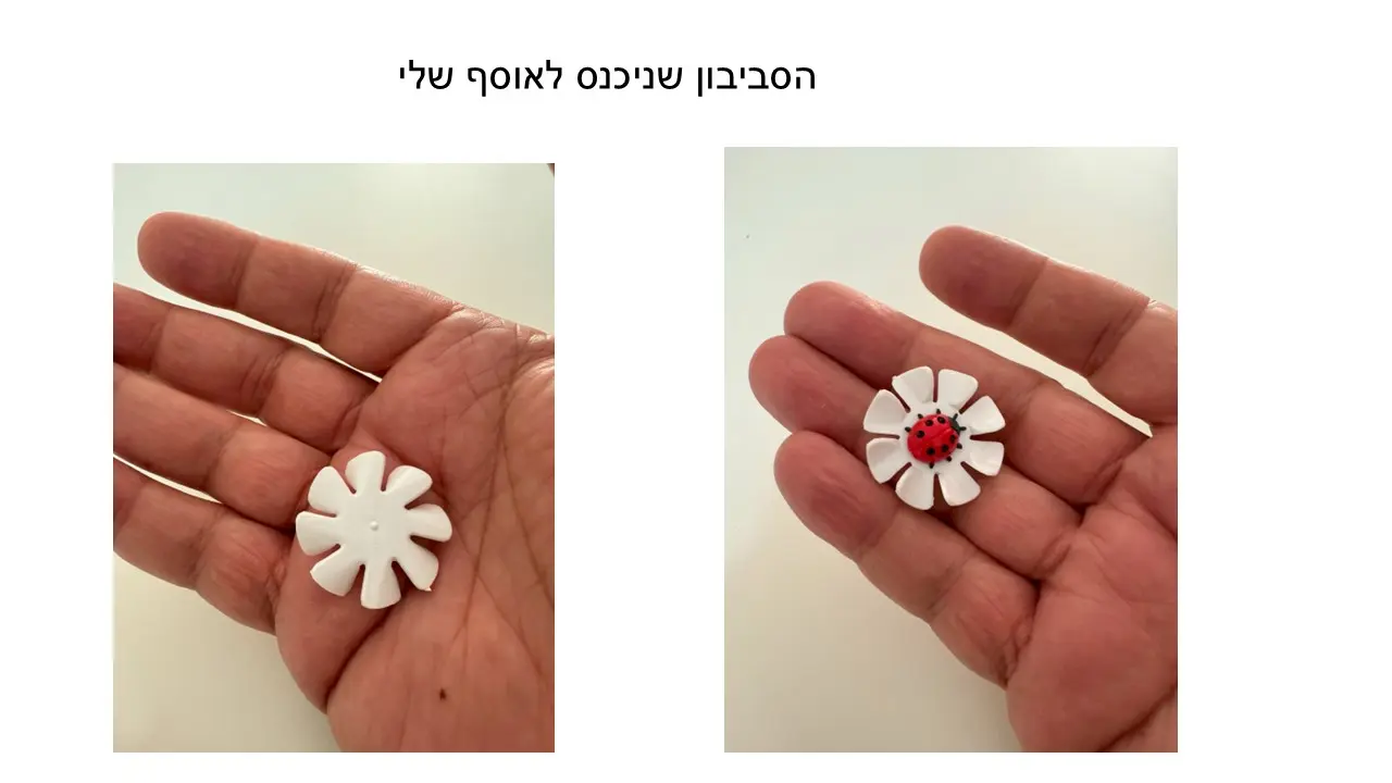 סביבון רוח המופעל בנשיפה על פרח לבן עם חיפושית משה רבנו מיוצר בגרמניה