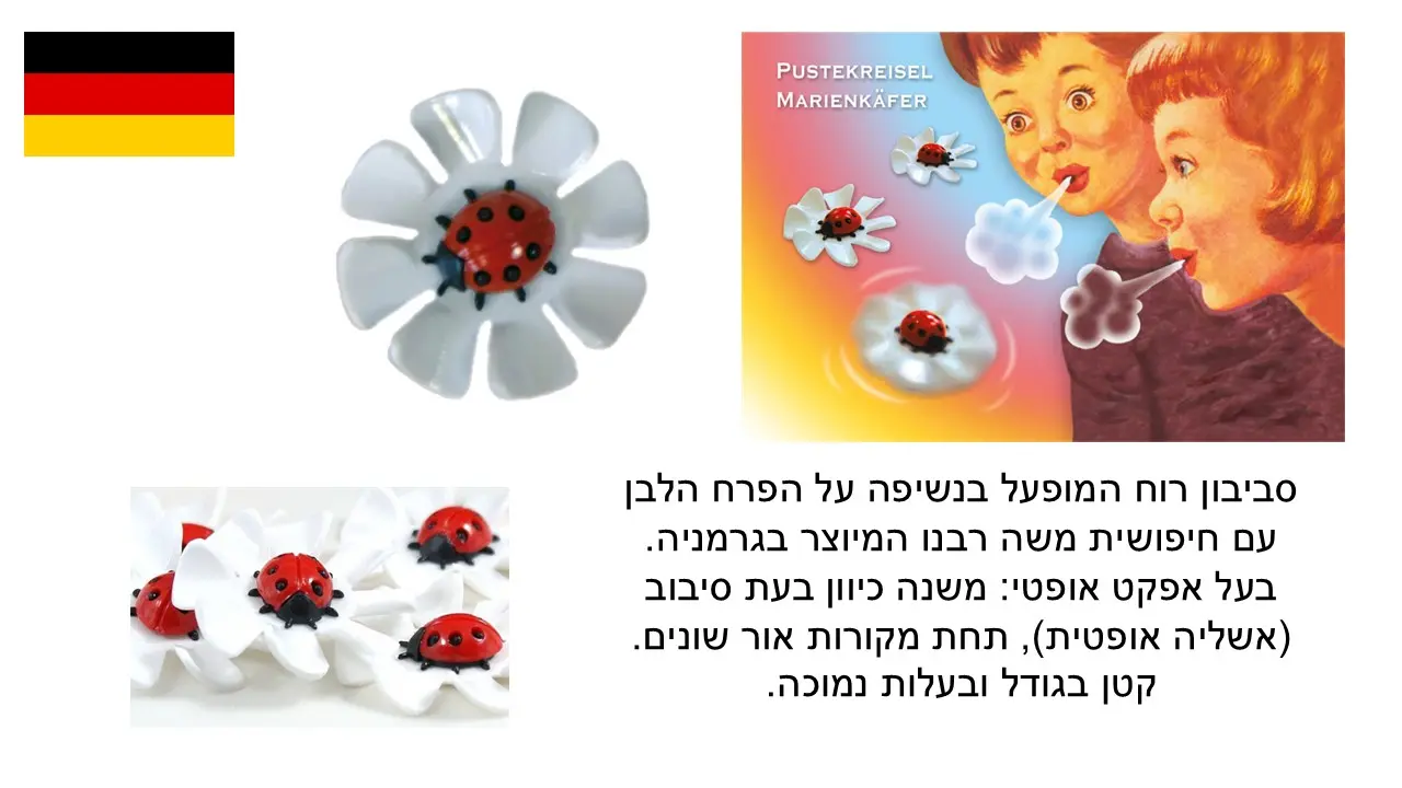 סביבון רוח המופעל בנשיפה על פרח לבן עם חיפושית משה רבנו מיוצר בגרמניה
