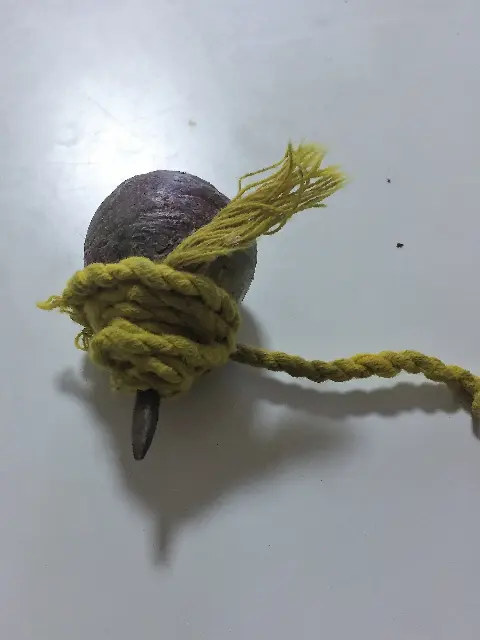 A spinning top (purple) with a string launcher from the Philippines that my son Noam brought me.